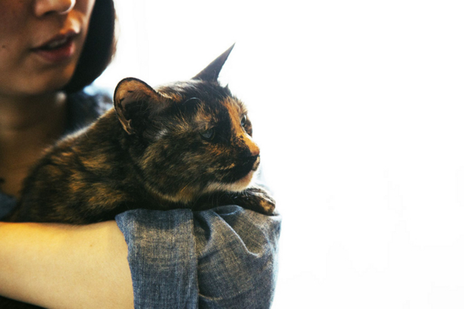 f:id:rufuto2007:20160522040035j:image