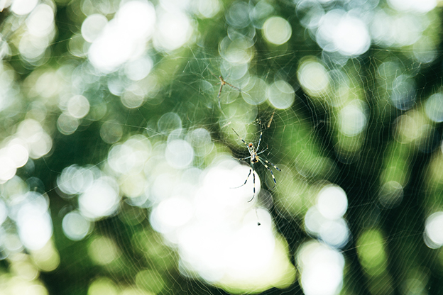 f:id:rufuto2007:20160911064603j:image