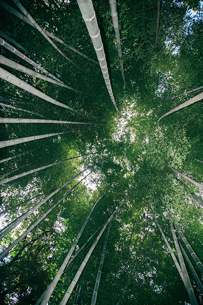 f:id:rufuto2007:20160911064605j:image:right