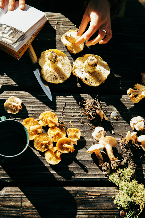 f:id:rufuto2007:20161222061702j:image