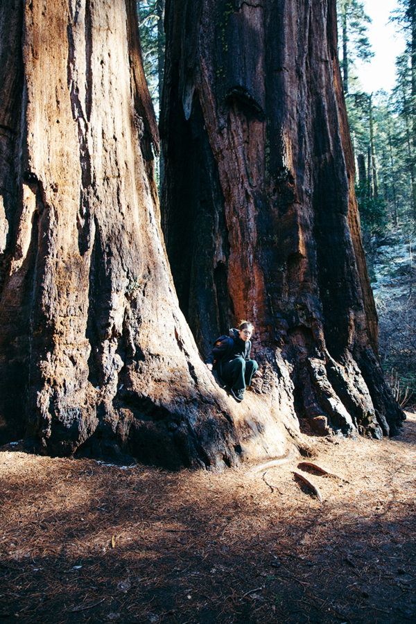 f:id:rufuto2007:20161222061703j:image:right