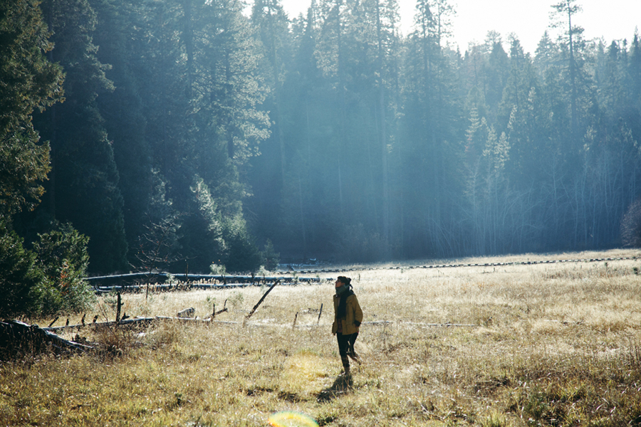 f:id:rufuto2007:20161222061911j:image