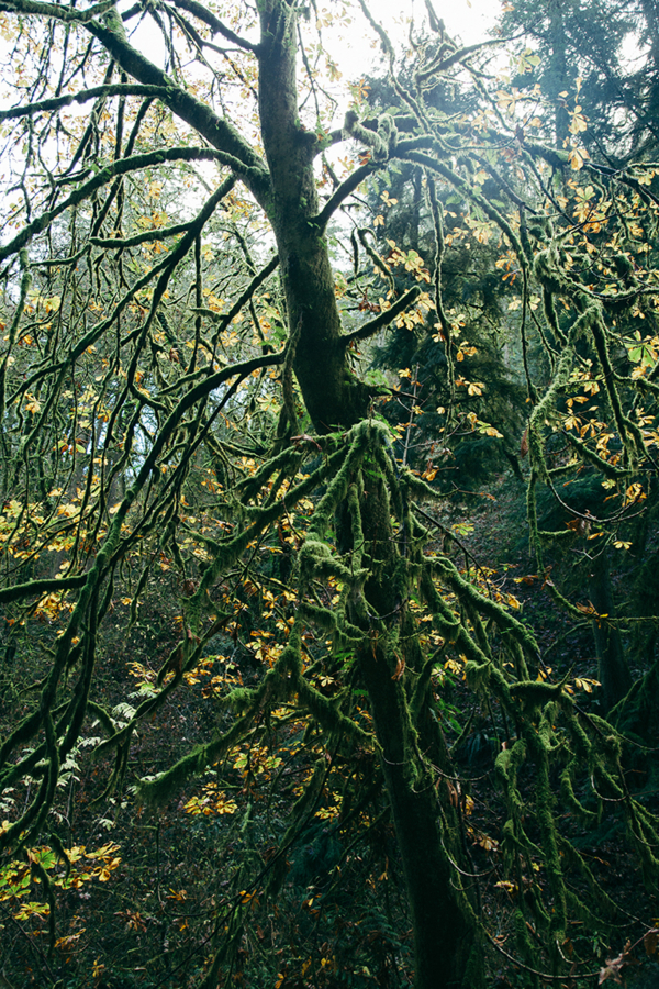 f:id:rufuto2007:20161222062306j:image