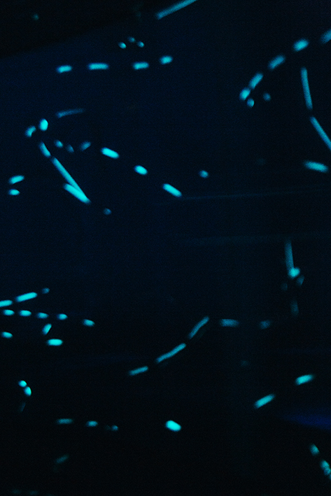 f:id:rufuto2007:20170414024747j:image