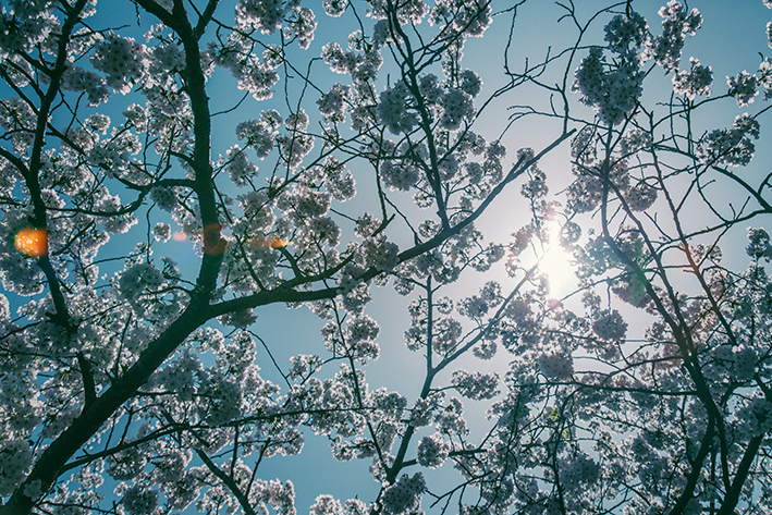 f:id:rufuto2007:20170414024843j:image