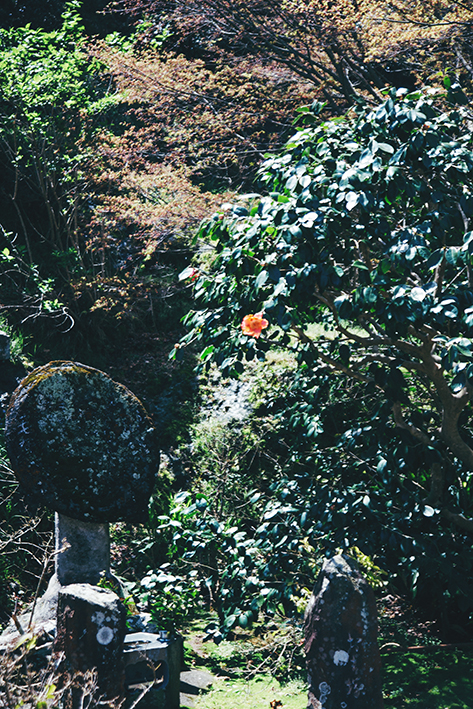 f:id:rufuto2007:20170414024912j:image