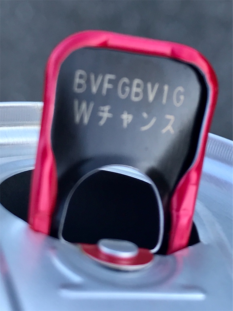 f:id:rugeoji:20201115220503j:image f:id:rugeoji:20201115220503j:image