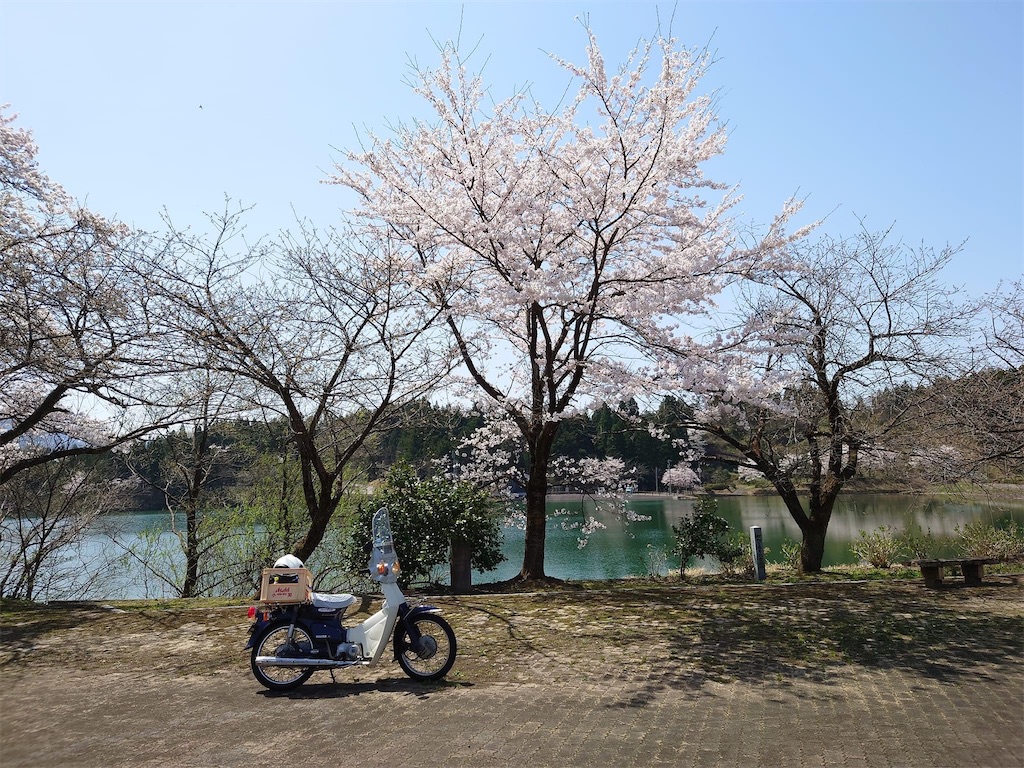 f:id:rugeoji:20220412201310j:image f:id:rugeoji:20220412201310j:image