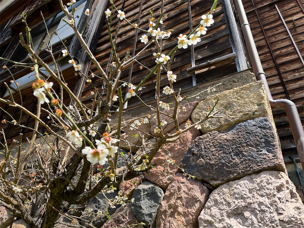 f:id:rugeoji:20220412201504j:image f:id:rugeoji:20220412201504j:image