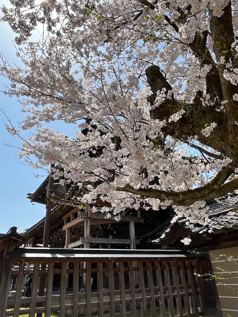 f:id:rugeoji:20220412201631j:image f:id:rugeoji:20220412201631j:image
