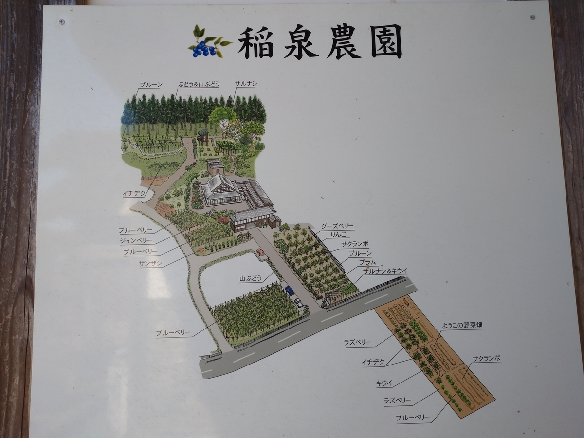 f:id:ruglove2019:20191123113124j:plain f:id:ruglove2019:20191123113124j:plain