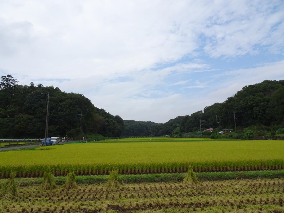 f:id:rugpyon:20210912214205j:plain