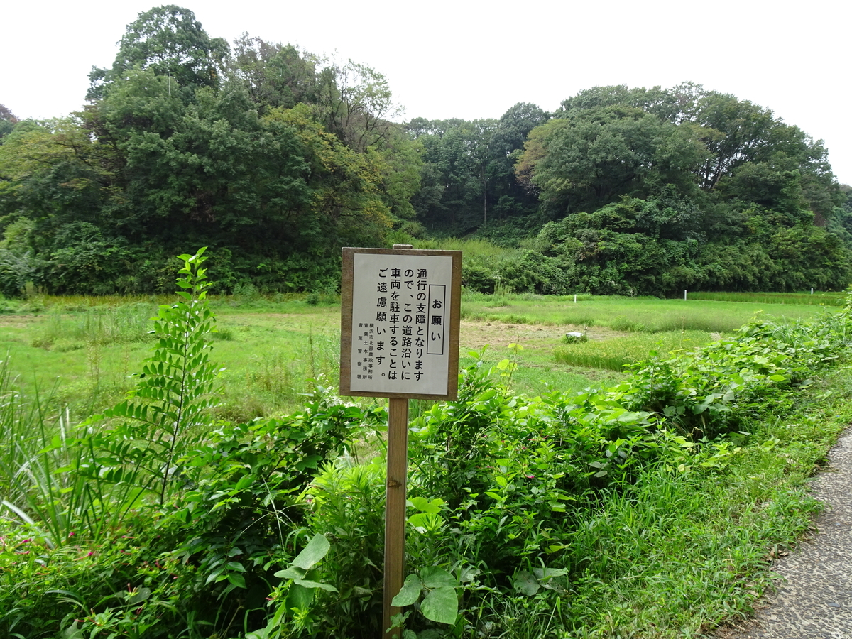 f:id:rugpyon:20210912233145j:plain