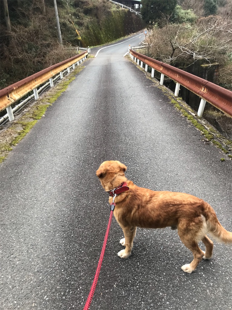 f:id:rui_shima:20190106005133j:image f:id:rui_shima:20190106005133j:image