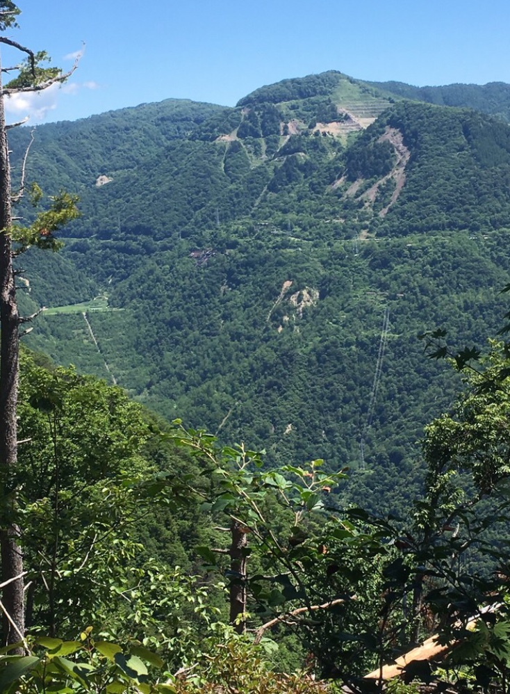 f:id:ruichanpapa0705:20190701223524j:plain f:id:ruichanpapa0705:20190701223524j:plain