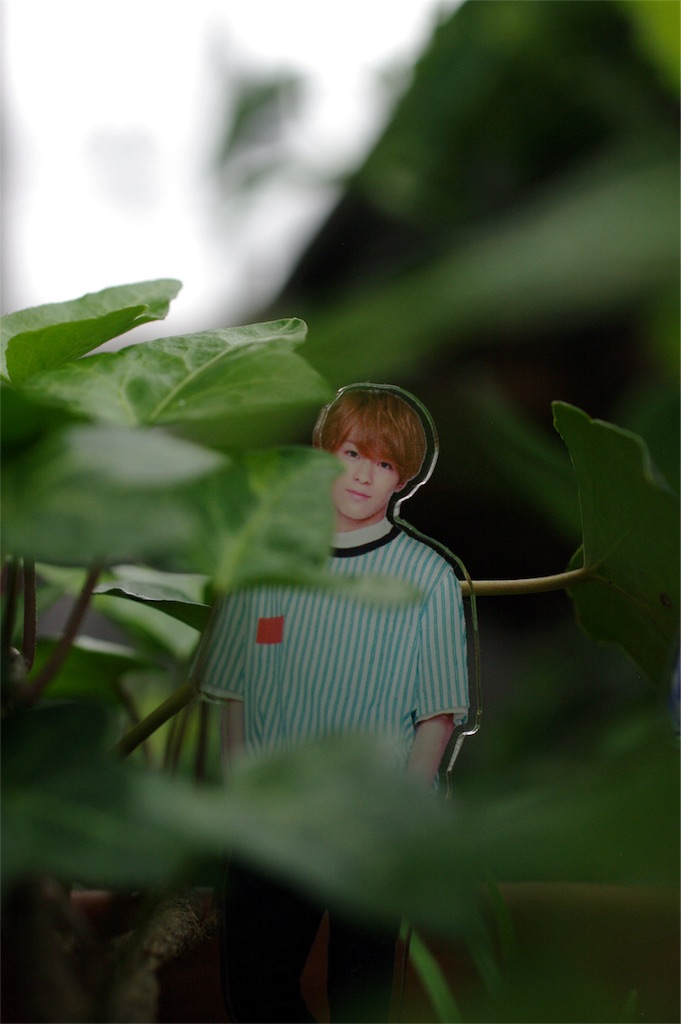 f:id:ruicow:20180930141306j:plain f:id:ruicow:20180930141306j:plain
