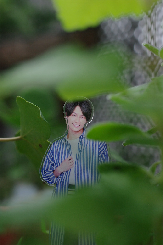 f:id:ruicow:20180930141336j:plain f:id:ruicow:20180930141336j:plain