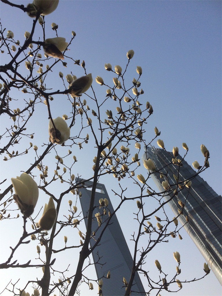 f:id:ruihappylucky:20170308135108j:image f:id:ruihappylucky:20170308135108j:image