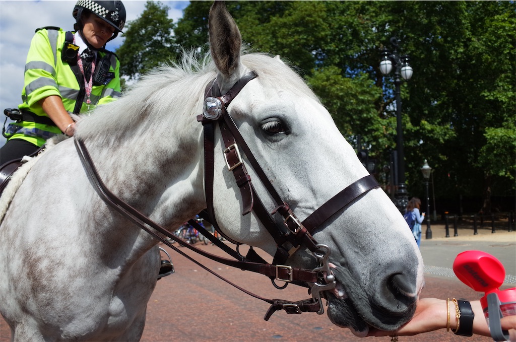 f:id:ruitaroro:20211204183435j:image f:id:ruitaroro:20211204183435j:image