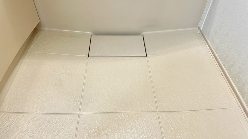 神アイテム 浴室床の黒ずみを傷付けずに落とすステンレスブラシ とことんそうじ 神アイテム 浴室床の黒ずみを傷付けずに落とすステンレスブラシ とことんそうじ