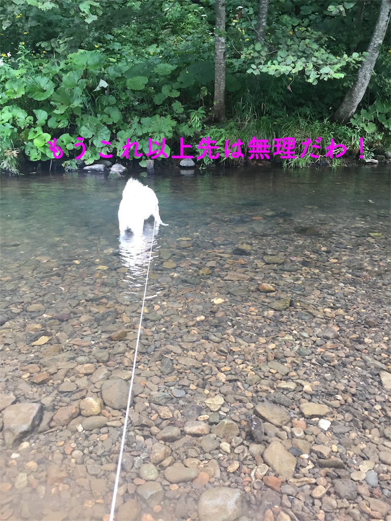 f:id:rukaema:20170818190438j:image f:id:rukaema:20170818190438j:image