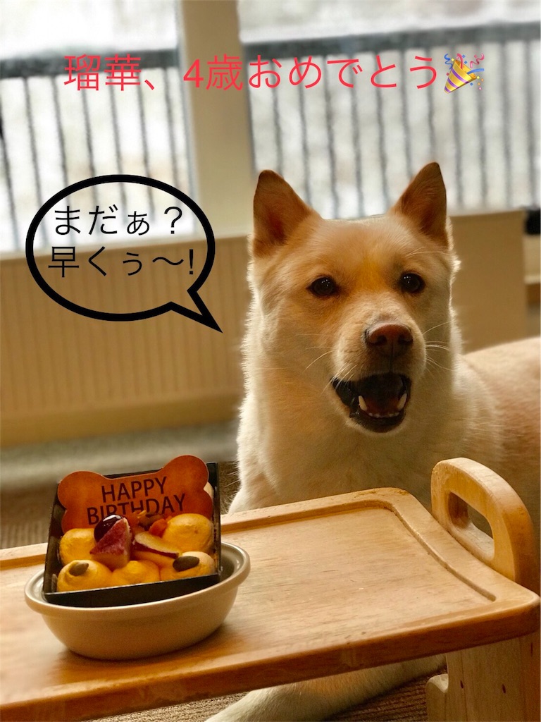 f:id:rukaema:20180215202434j:image