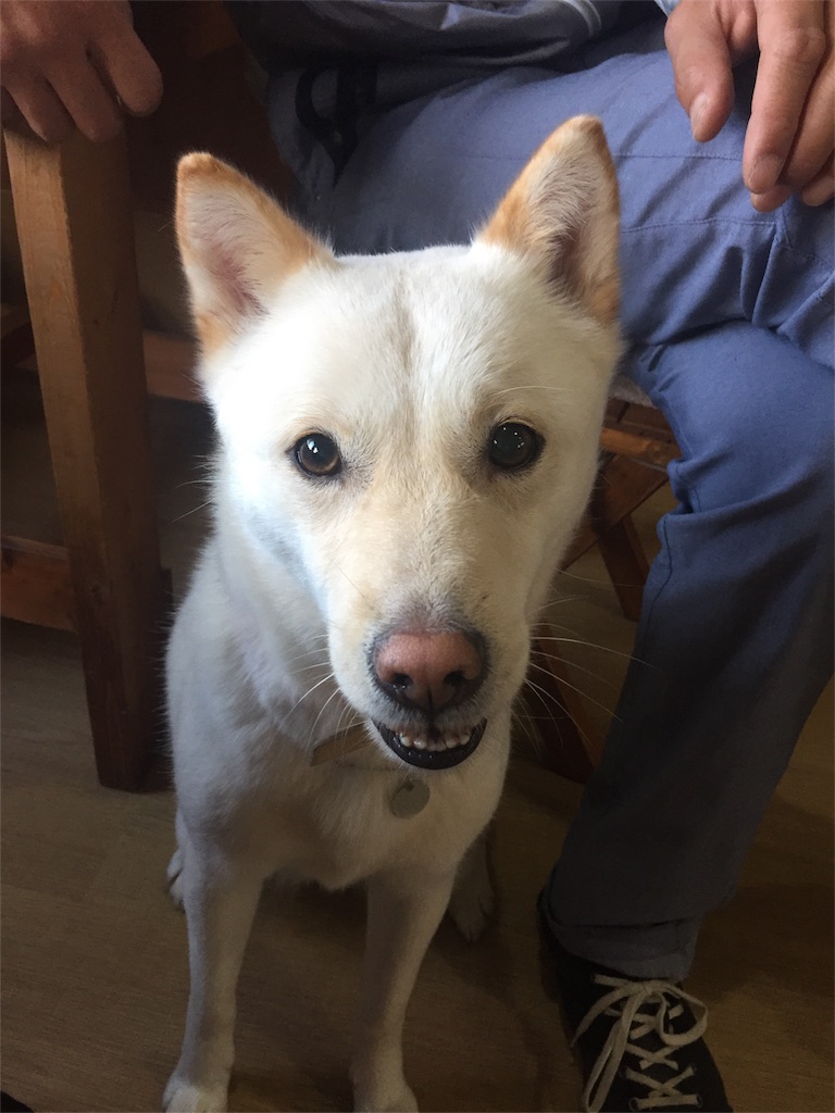 f:id:rukaema:20181028114528j:image f:id:rukaema:20181028114528j:image