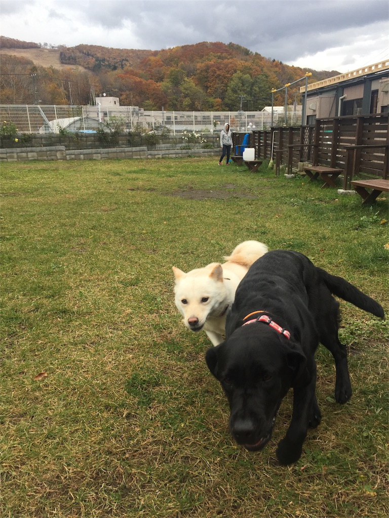 f:id:rukaema:20181028114711j:image f:id:rukaema:20181028114711j:image