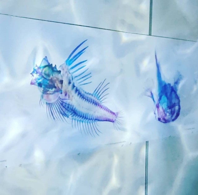 f:id:rukaxxx:20190822143720j:image f:id:rukaxxx:20190822143720j:image