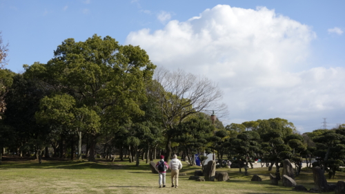 RX100 風景写真