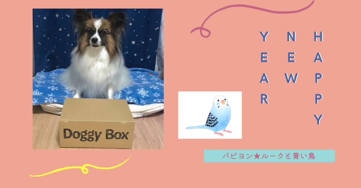 青い鳥とは アートの人気 最新記事を集めました はてな