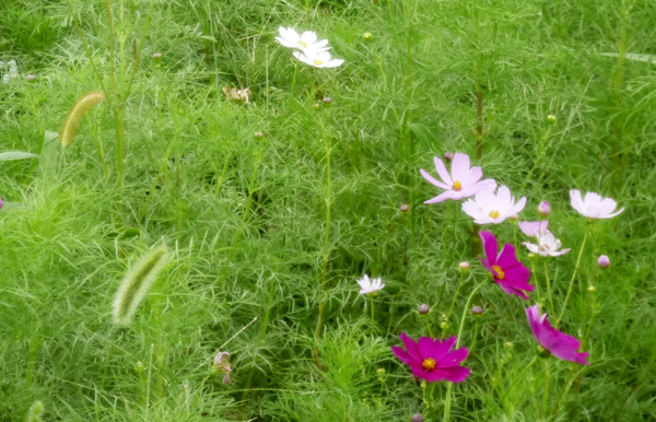 f:id:rum64:20180923163652j:plain