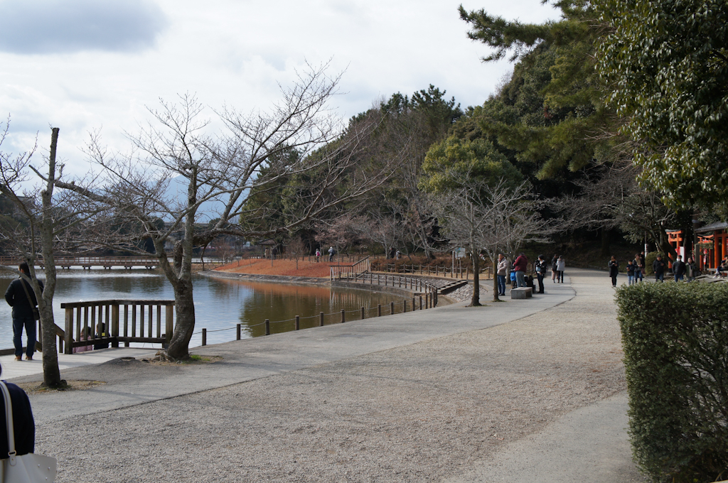 f:id:rum64:20190110181802j:plain
