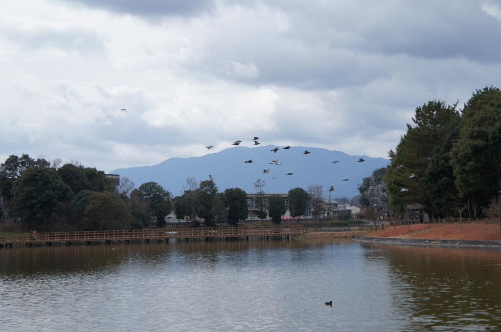 f:id:rum64:20190110181941j:plain
