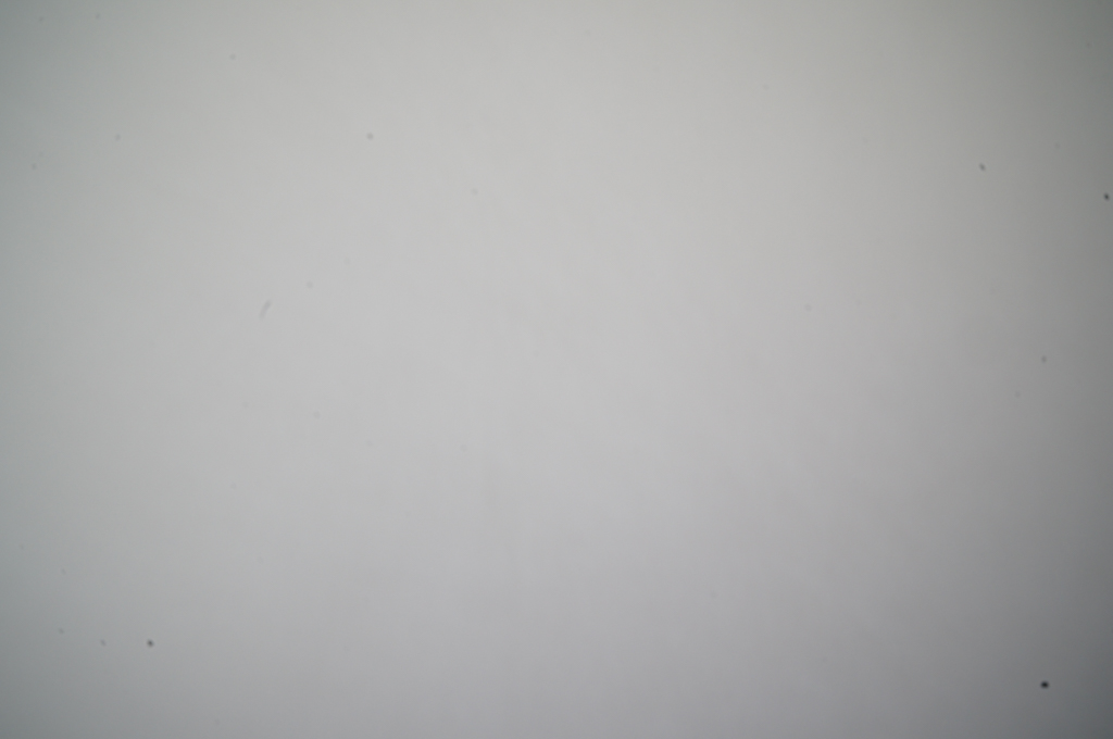 f:id:rum64:20190122105445j:plain