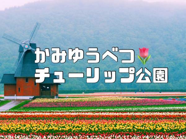 北海道花観光 70万本のチューリップ かみゆうべつチューリップ公園 独女のプアリッチlife 北海道花観光 70万本のチューリップ かみゆうべつチューリップ公園 独女のプアリッチlife