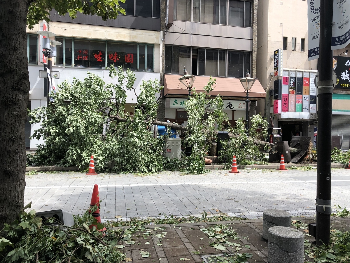 f:id:rumicha:20190914133331j:plain f:id:rumicha:20190914133331j:plain