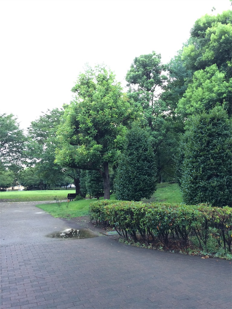 f:id:rumimarusr:20160820172547j:plain