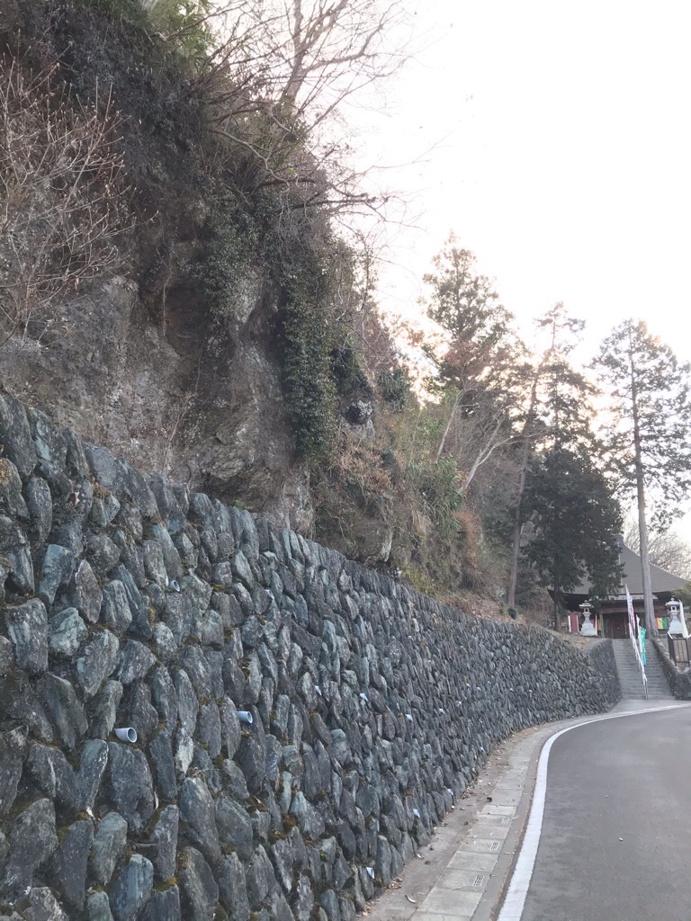 f:id:rumimarusr:20210608132121j:image