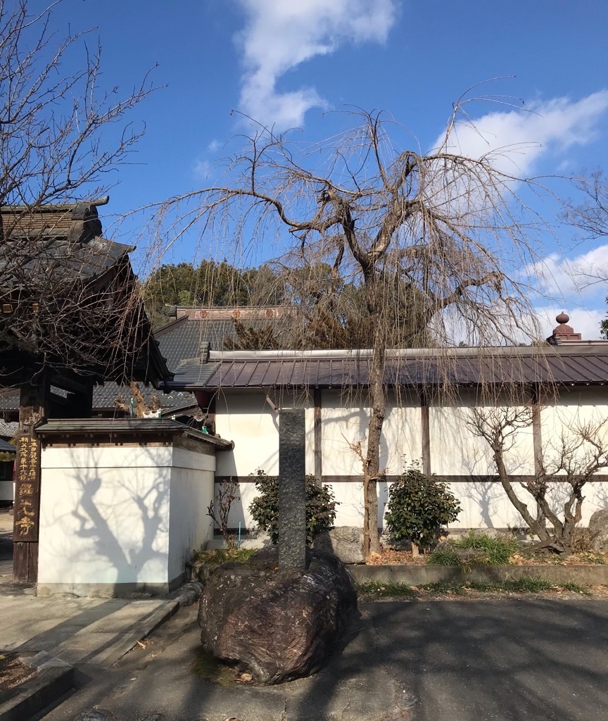 f:id:rumimarusr:20210625025414j:image f:id:rumimarusr:20210625025414j:image
