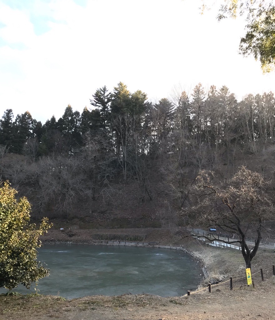 f:id:rumimarusr:20210709221808j:image