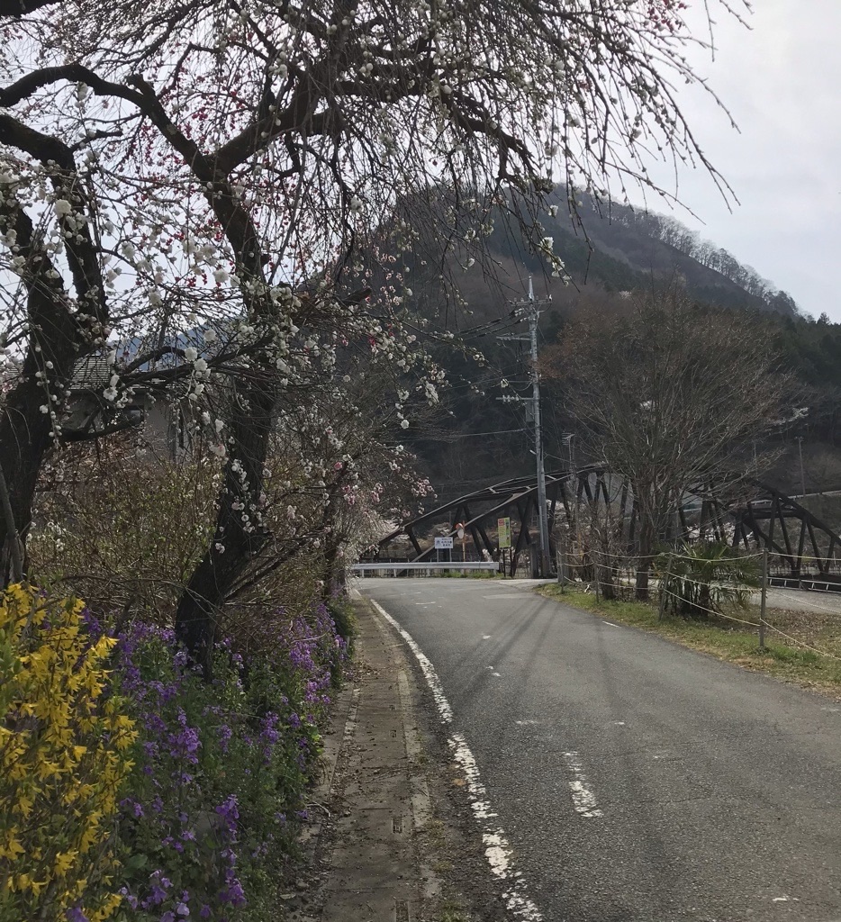 f:id:rumimarusr:20210716002043j:image
