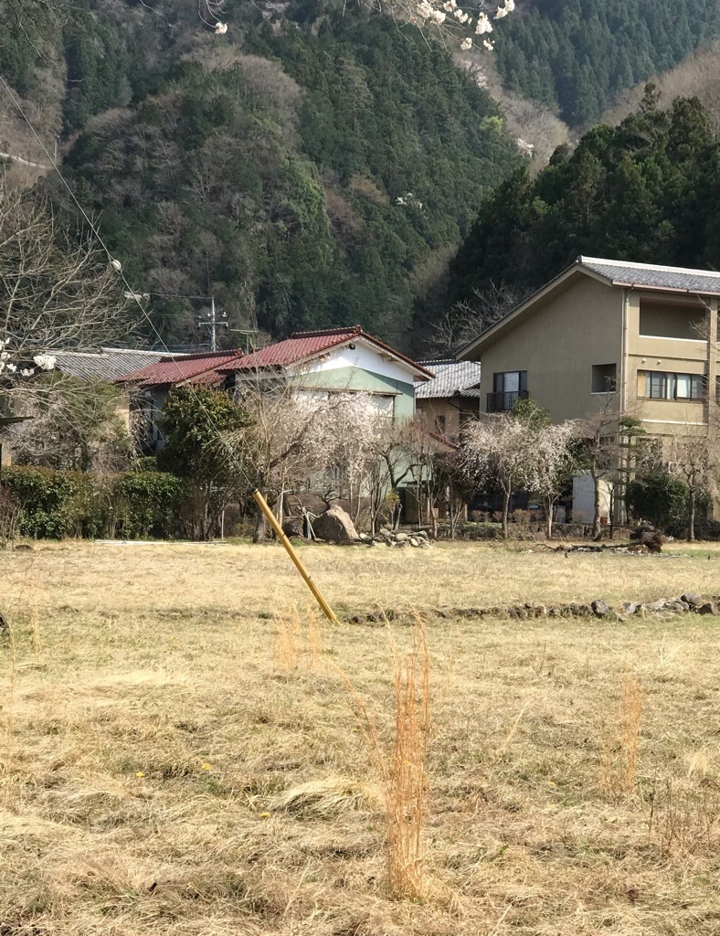 f:id:rumimarusr:20210716002120j:image