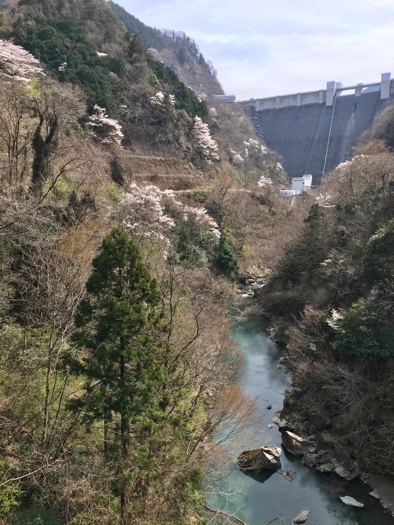 f:id:rumimarusr:20210716002123j:image