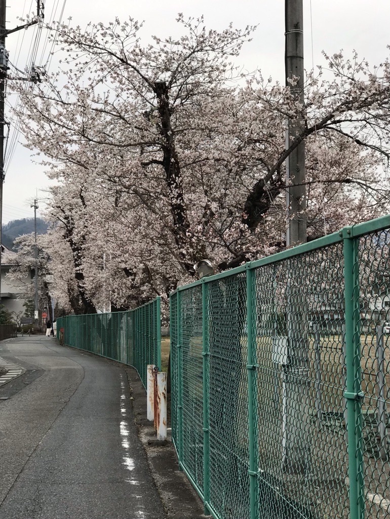 f:id:rumimarusr:20210717230942j:image
