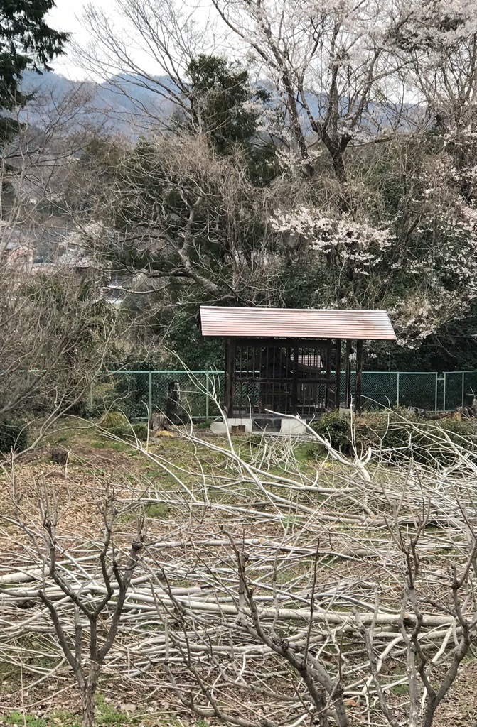 f:id:rumimarusr:20210717231151j:image