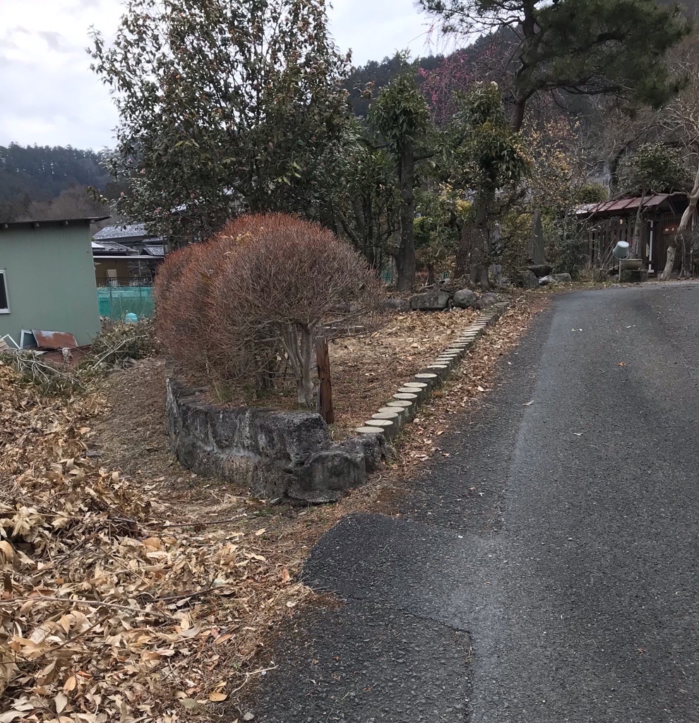 f:id:rumimarusr:20210724004938j:image f:id:rumimarusr:20210724004938j:image