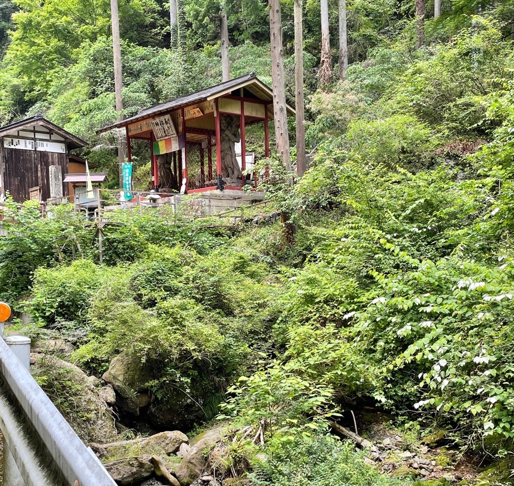 f:id:rumimarusr:20210731042603j:image f:id:rumimarusr:20210731042603j:image