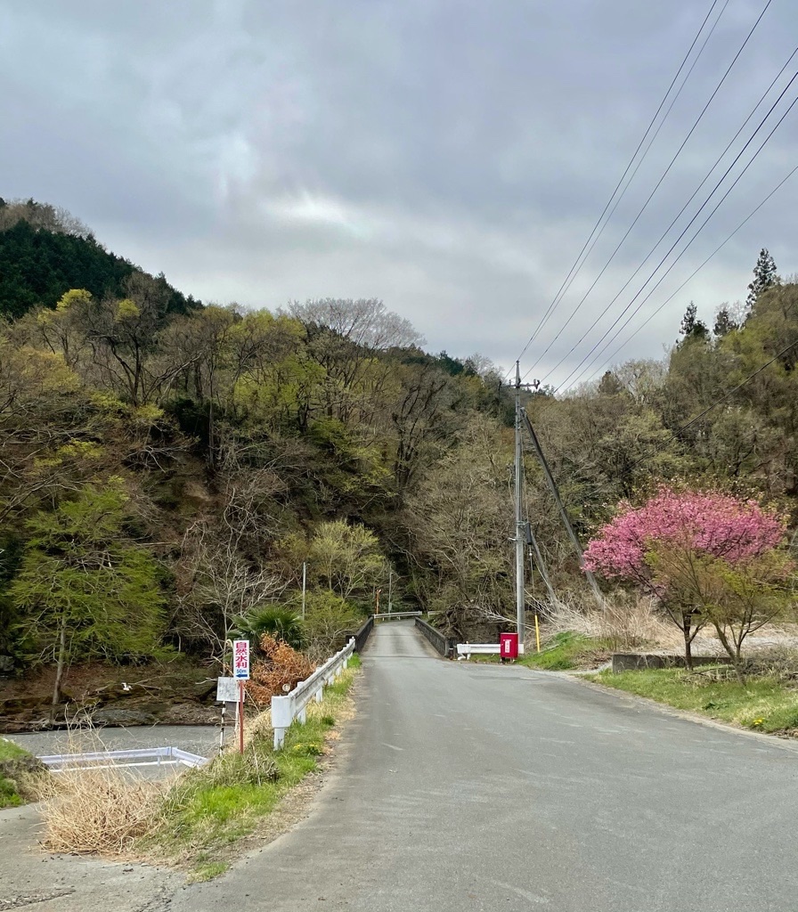 f:id:rumimarusr:20210820014358j:image