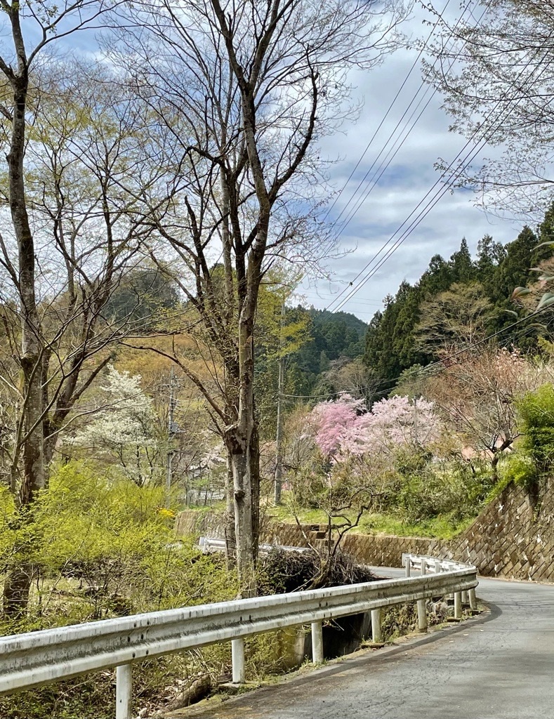 f:id:rumimarusr:20210820014750j:image